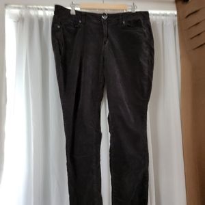 Sonoma 16 Skinny Velvety Dark Grey Pants